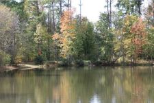Knightdale North Carolina Pond